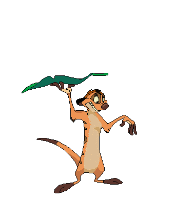 timon.gif image by Netallico_2009
